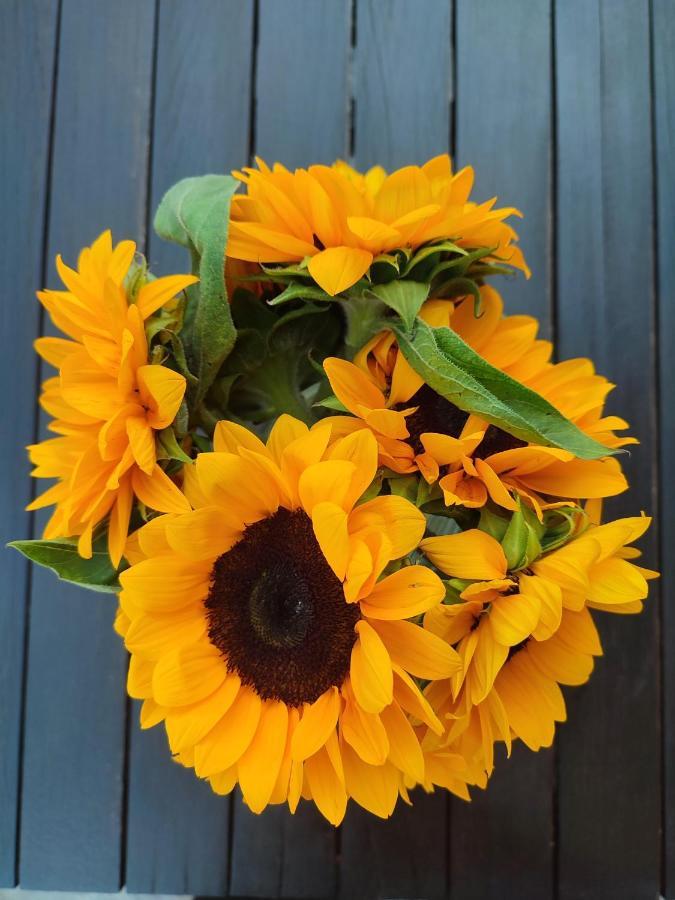 Helianthus Guesthouse Ammouliana Buitenkant foto