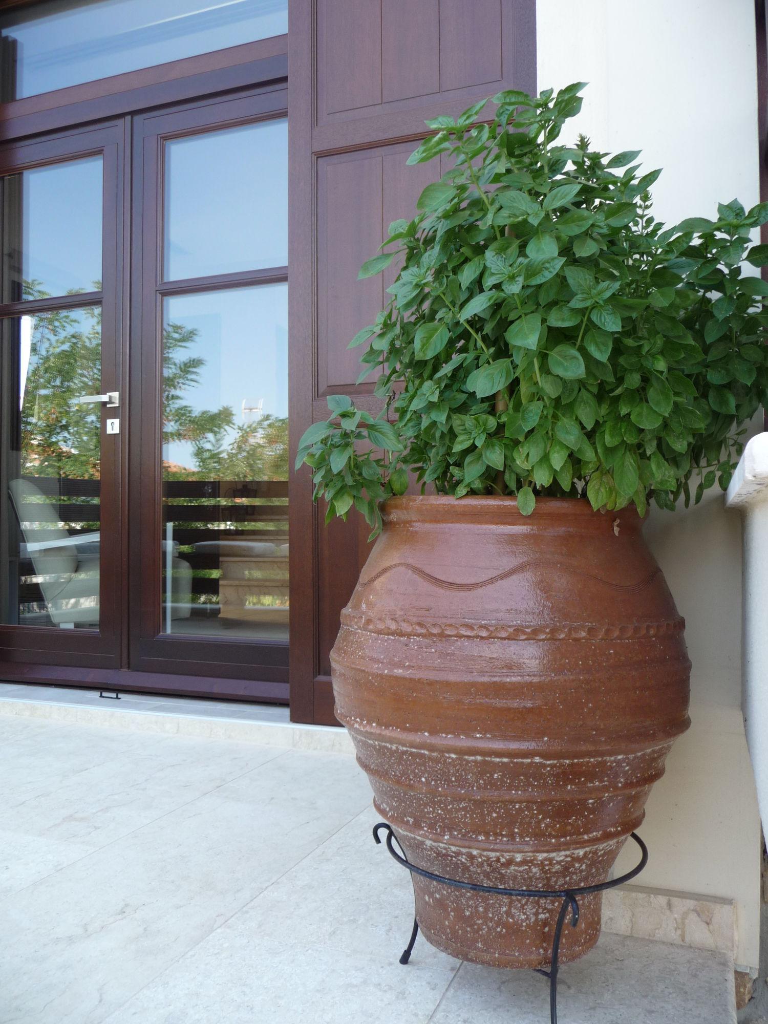 Helianthus Guesthouse Ammouliana Buitenkant foto